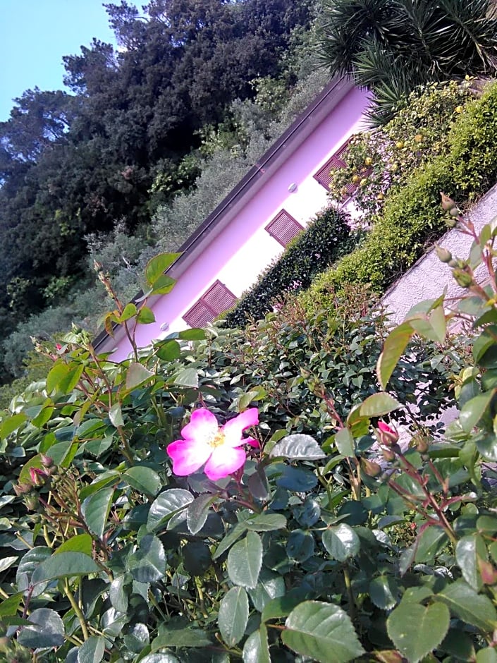 Villino Iso – La Spezia, PA