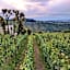 Tussock Hill Vineyard Retreats