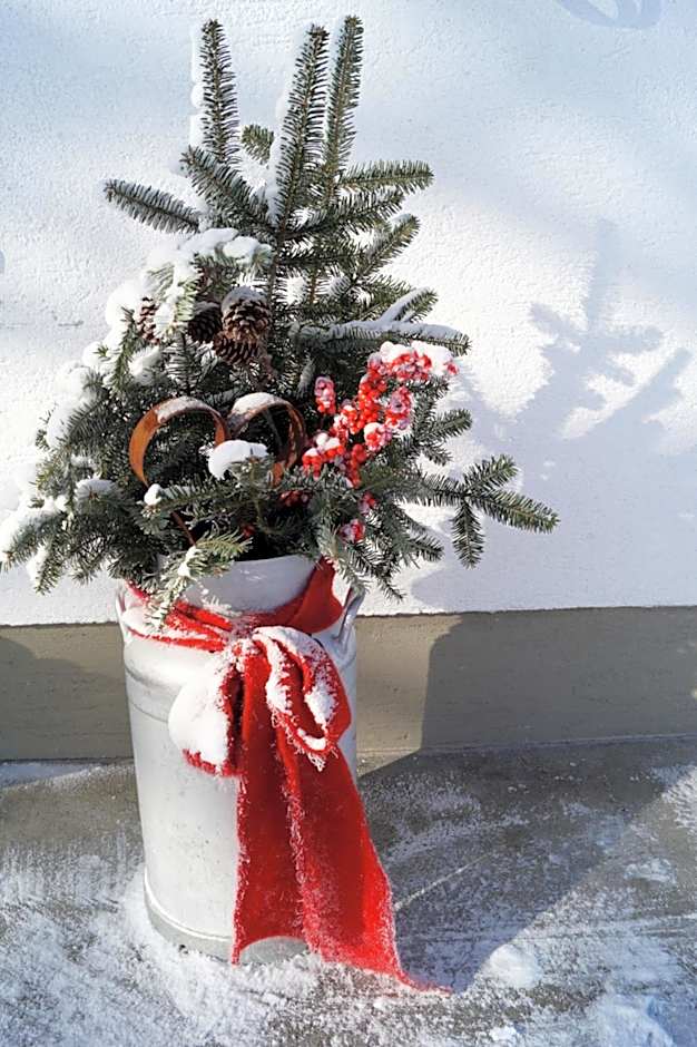 Bauernhof Grieslehen