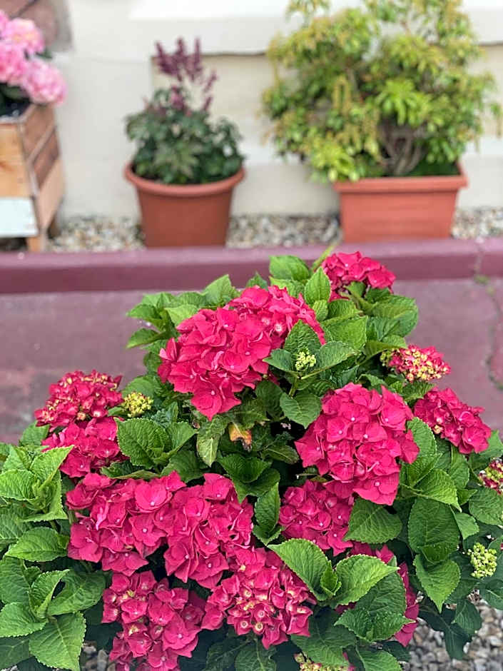 No 29 Bed and Breakfast