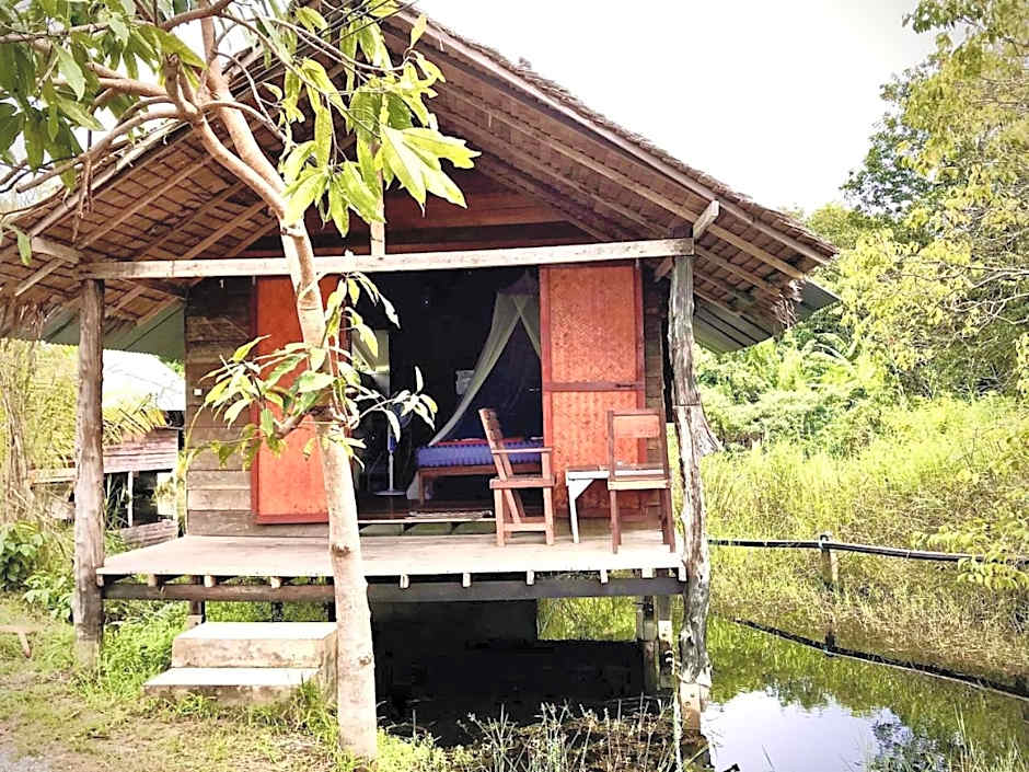 Frog Garden Hut