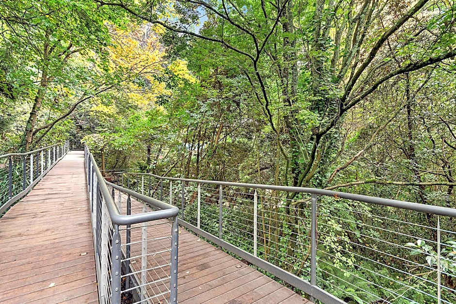 Linden Gardens Rainforest Retreat