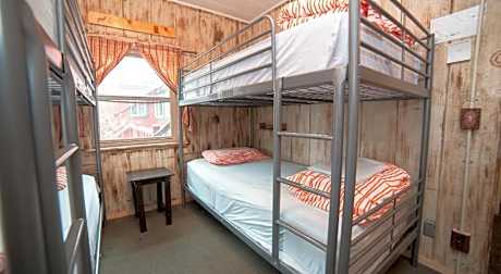 1 Person in 4-Bed Dormitory - Mixed