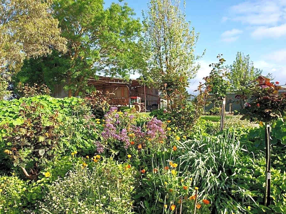 Manderley Park Farmstay B&B