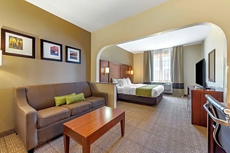 1 King Bed, Business Room, Suite, Nonsmoking, Upgrade
