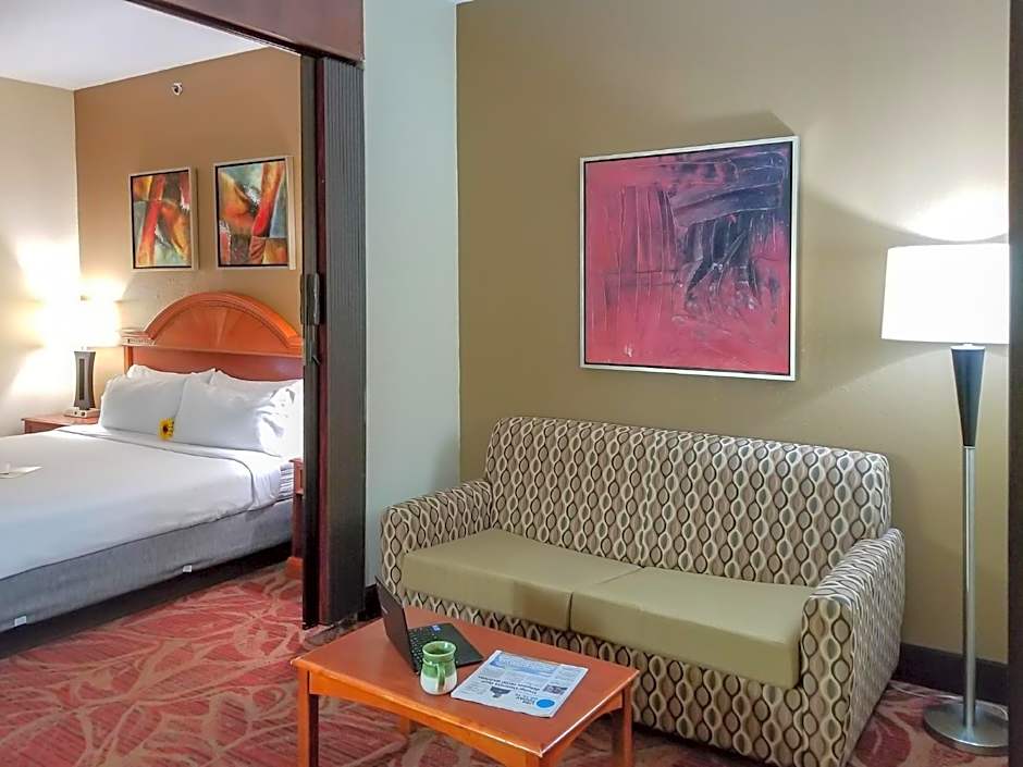 Holiday Inn Express Hotel & Suites Orange City By IHG