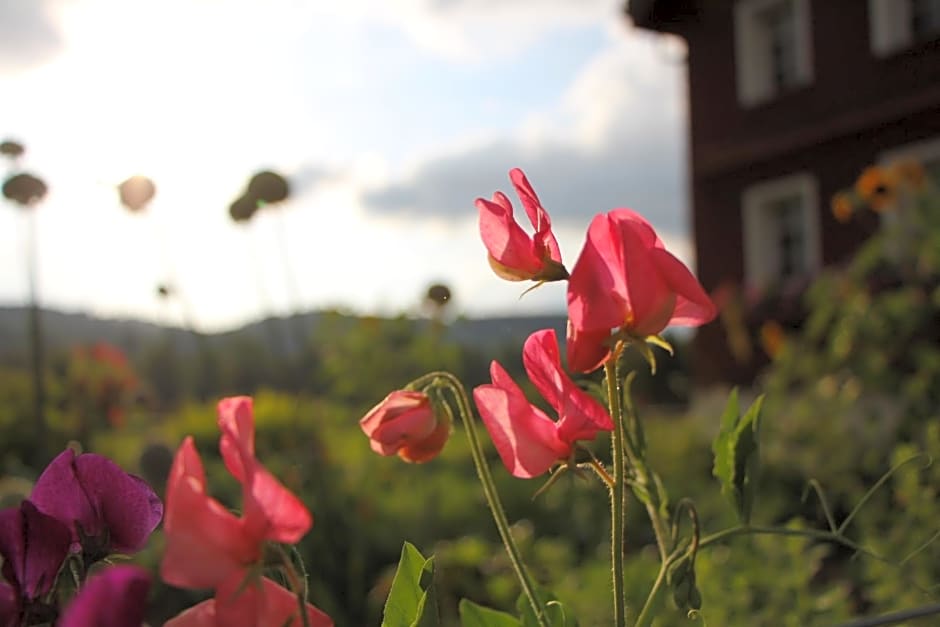 B&B Hofgenuss
