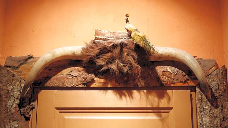 Demeure de Digoine "Chambre d'Hotes"