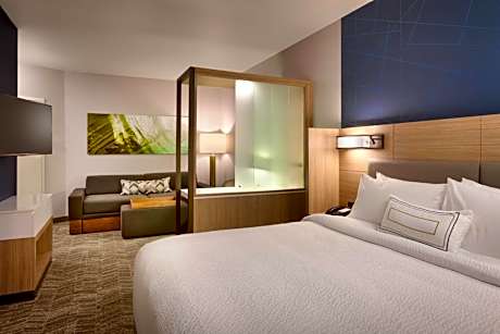 King Suite with Sofa Bed and Adapted Tub - Mobility and Hearing Accessible