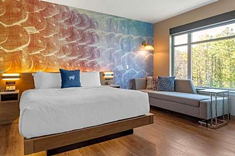 King Suite - Accessible/Non Smoking