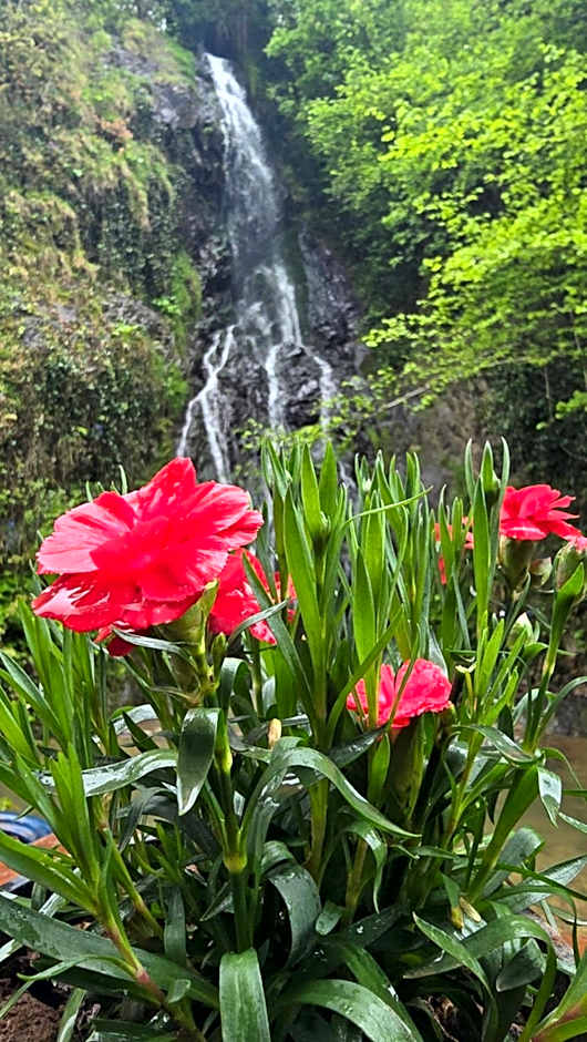 Muradland منتجع فيلات الوادي الأخضر