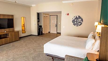 King Room - Disability Access Roll in Shower