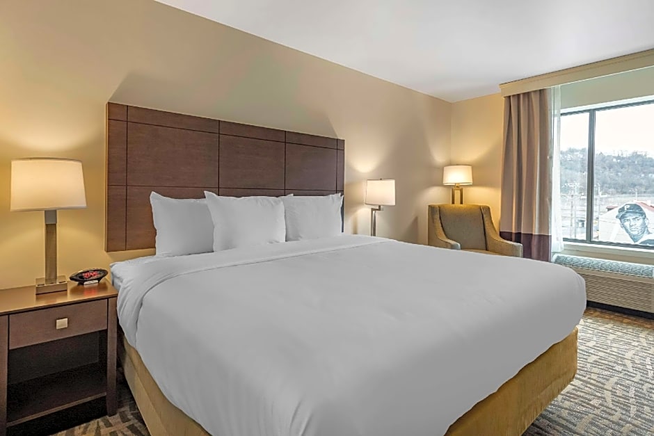 Comfort Inn & Suites Pittsburgh-Northshore