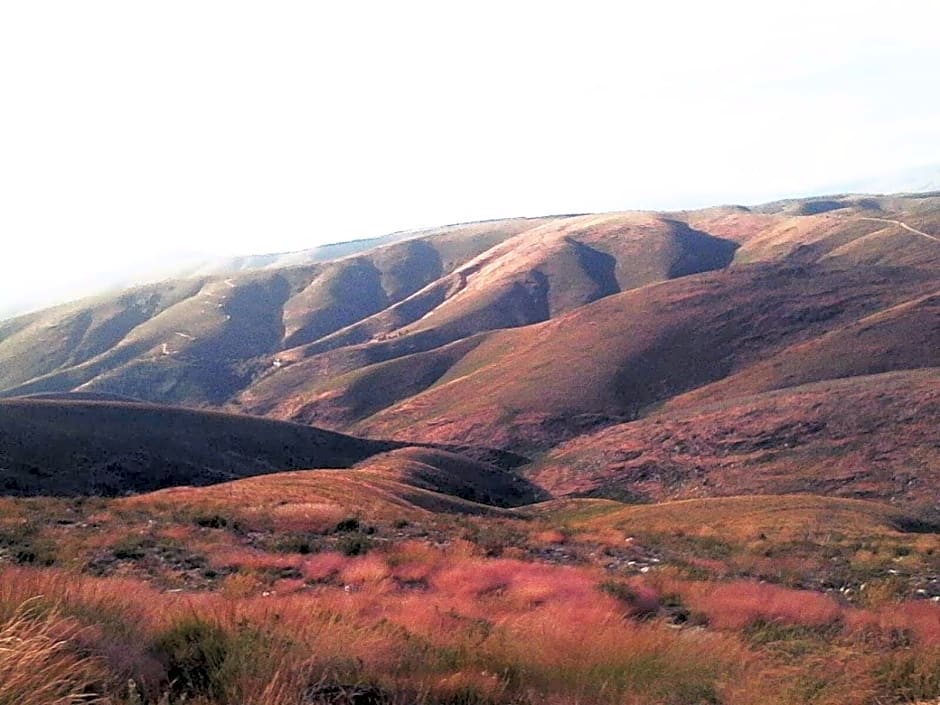 Lago da Garça Guesthouse
