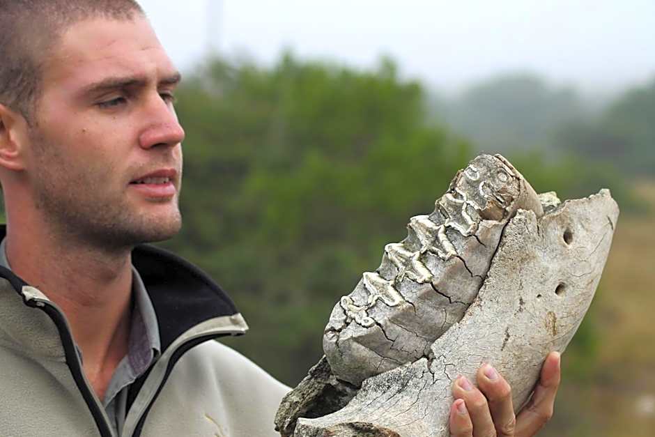 Hlosi Game Lodge - Amakhala Game Reserve