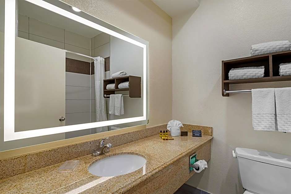 Best Western Plus North Houston Inn & Suites