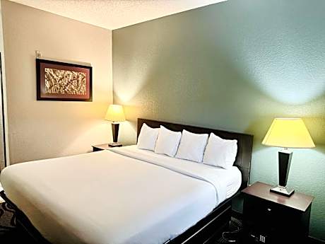 King Room - Non-Smoking