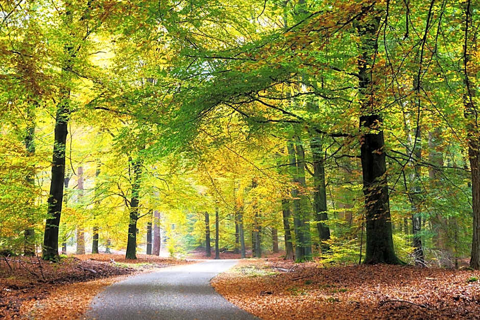 Landgoed Stakenberg - Hotel & Bungalows