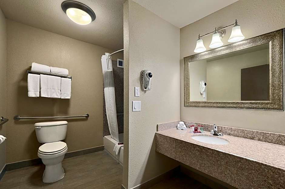 Ramada by Wyndham Houston Intercontinental Airport South