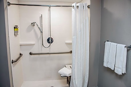 Deluxe Suite - Mobility Access Roll in Shower/Non-Smoking