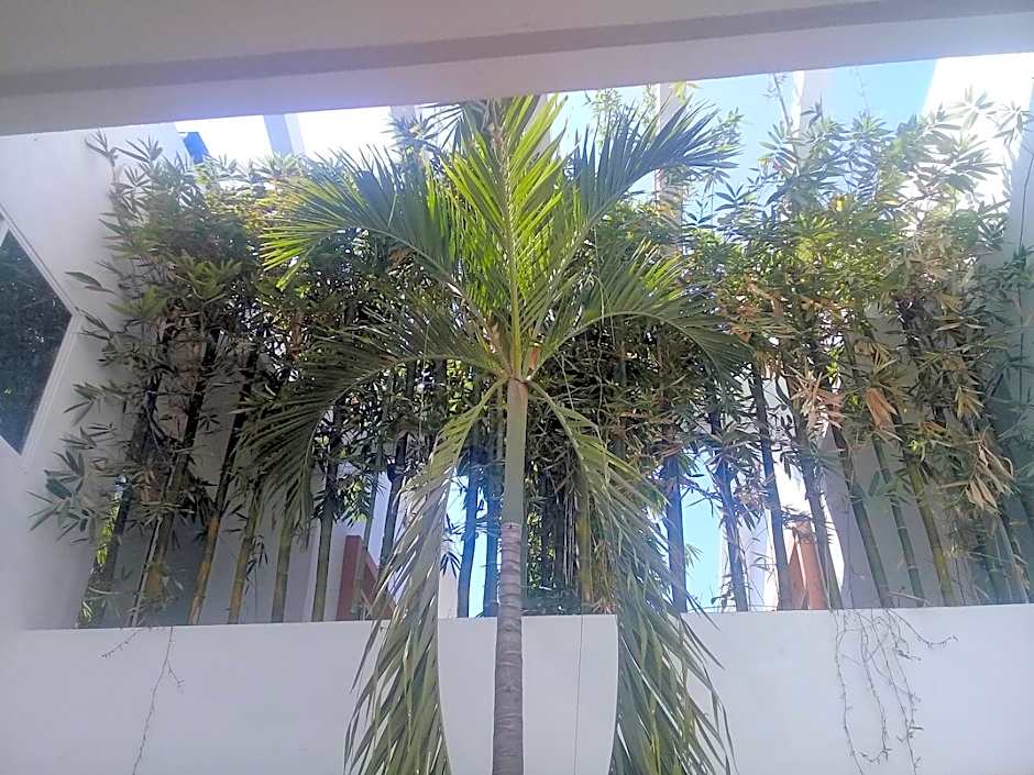 Palmas de Chahue