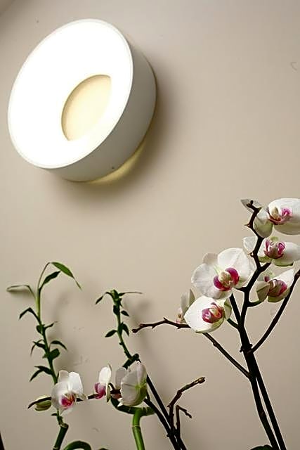 Dovitel Boutique Hotel