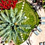 Papago Hotel by Reside, Trademark Collection by Wyndham