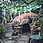 Temazcal casa gema