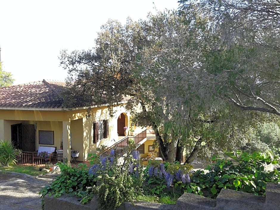 B&B Coldulivo