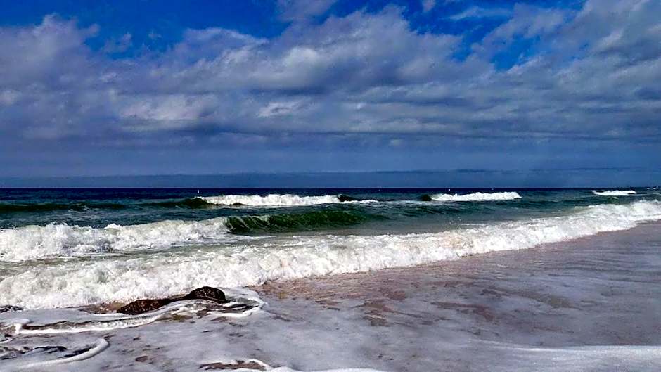 Beach Palms- Unit 102