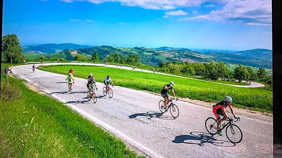 Hotel Gambrinus Mare