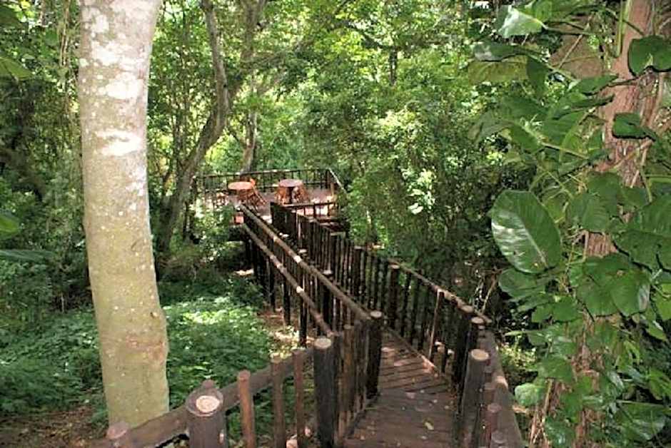 Ndiza Lodge and Cabanas