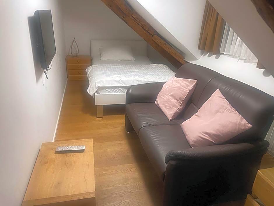 Aparthotel Splendid City Center