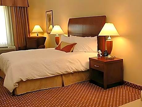 1 King Accessible Whirlpool Room
