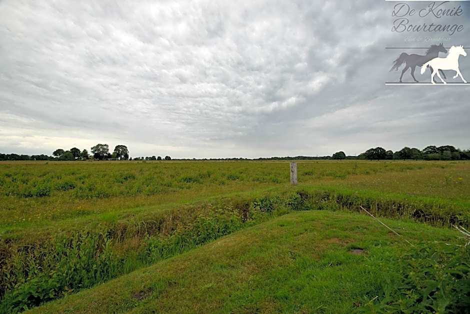 B&B De Konik Bourtange