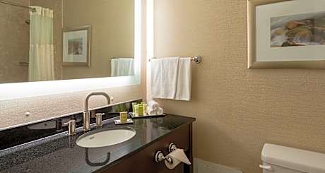 1 Queen Bed Club Floor