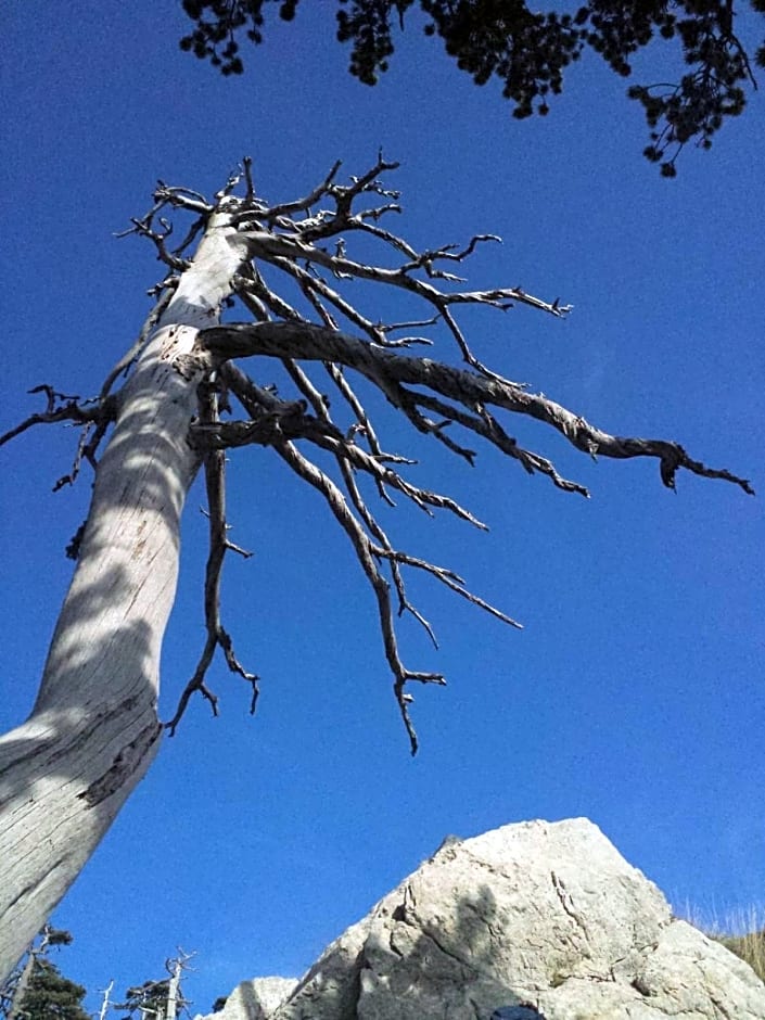 Tana Libera Tutti 1 Nature, Yourself, Love