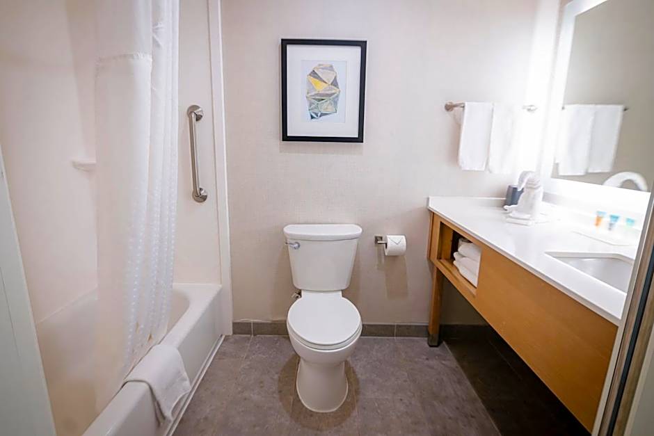 Holiday Inn & Suites Houston NW - Willowbrook By IHG