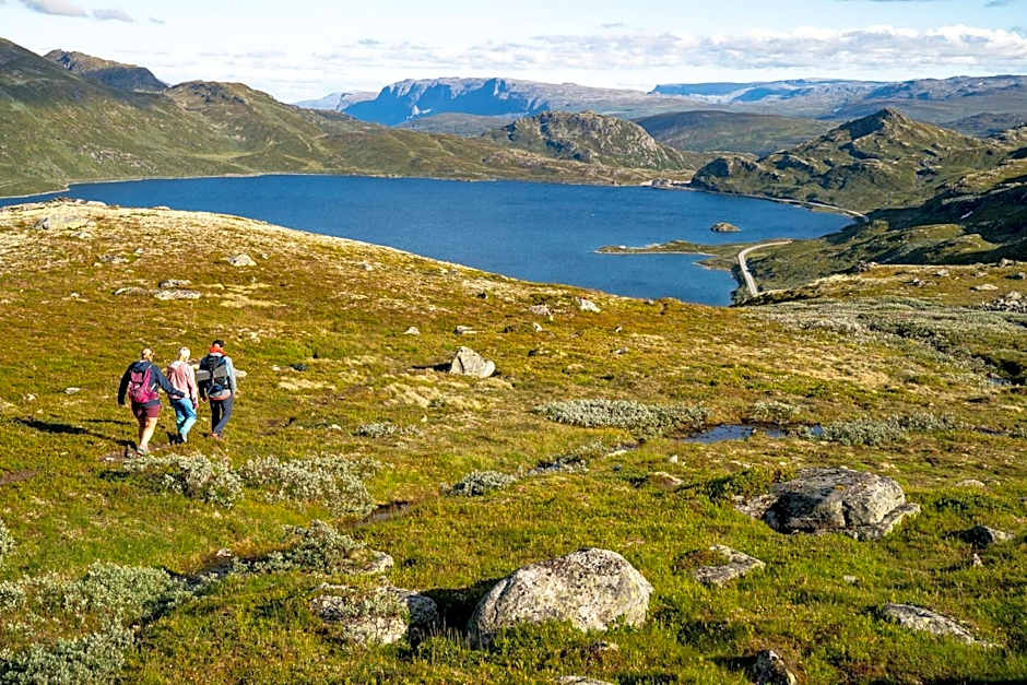 Filefjellstuene hytter og leiligheter