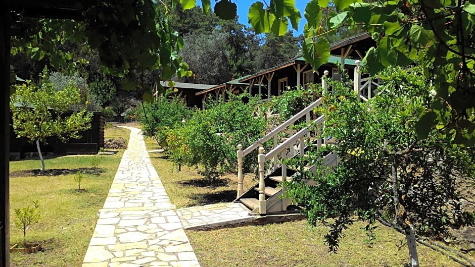 Olympos Angels Garden