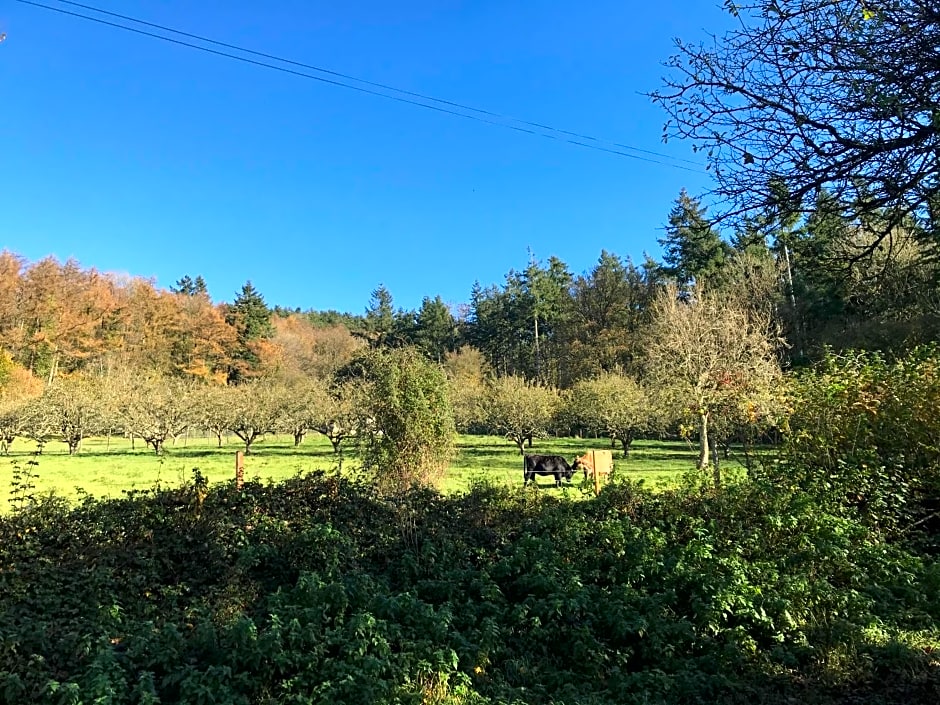 Shepherds Huts Ham Hill, 2 double beds, Bathroom, Lounge, Diner, Kitchen, dog friendly, Looking out to lake