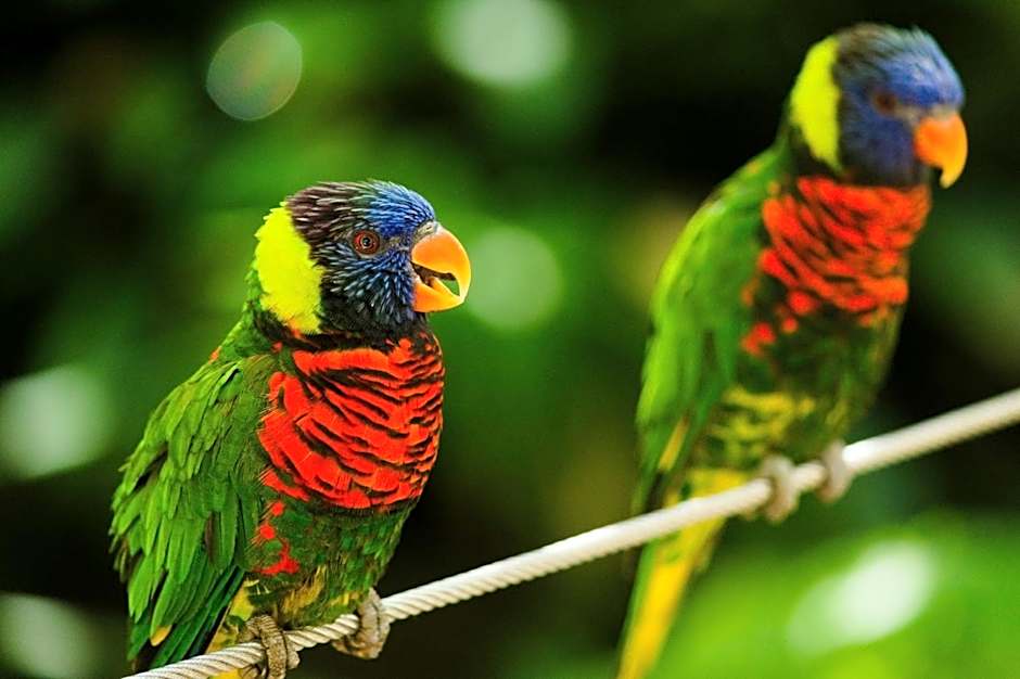 Holiday Inn Express Hotel & Suites Solana Beach-Del Mar By IHG