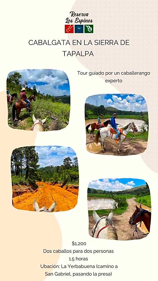 Cabaña El Vértice, Tapalpa