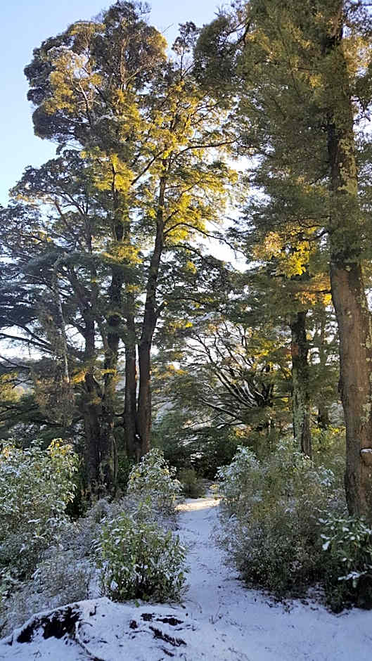 Ruapehu Mountain Motel & Lodge