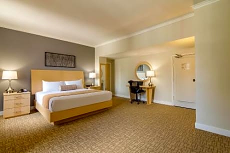 Newly Renovated - Penn Plaza Collection, Executive 1 King Bed Accessible