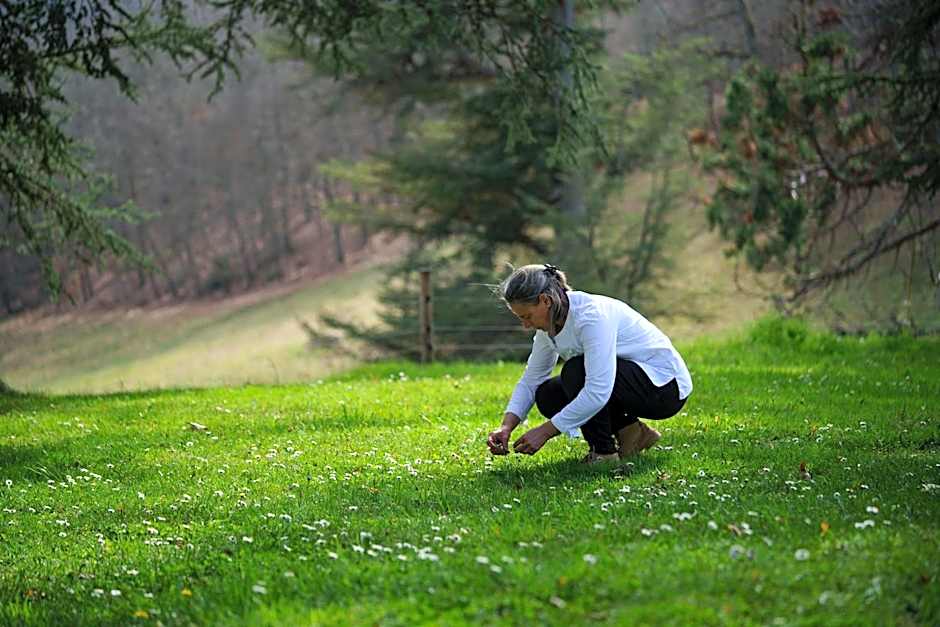 Le Clos Cathala Chambres d'Hôtes