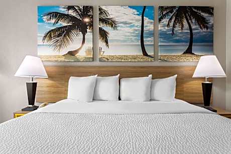1 King Bed Non-Smoking