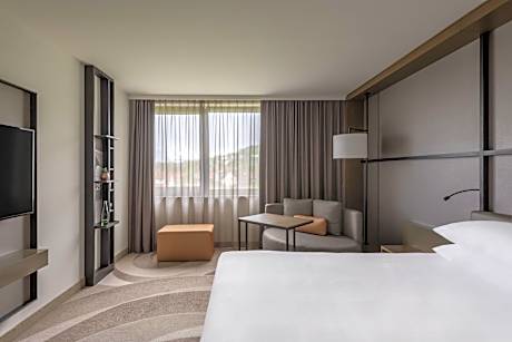 Executive Room, 1 King Bed
