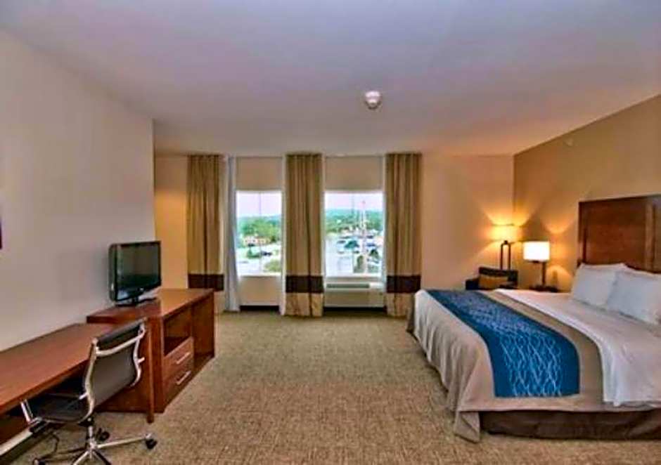 Comfort Inn Apalachin / Binghamton W Route 17