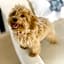 Marine House KAKISAKI - BBQ OK Pets OK